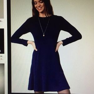 Loft long sleeve flare dress